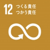 SDGs no.12