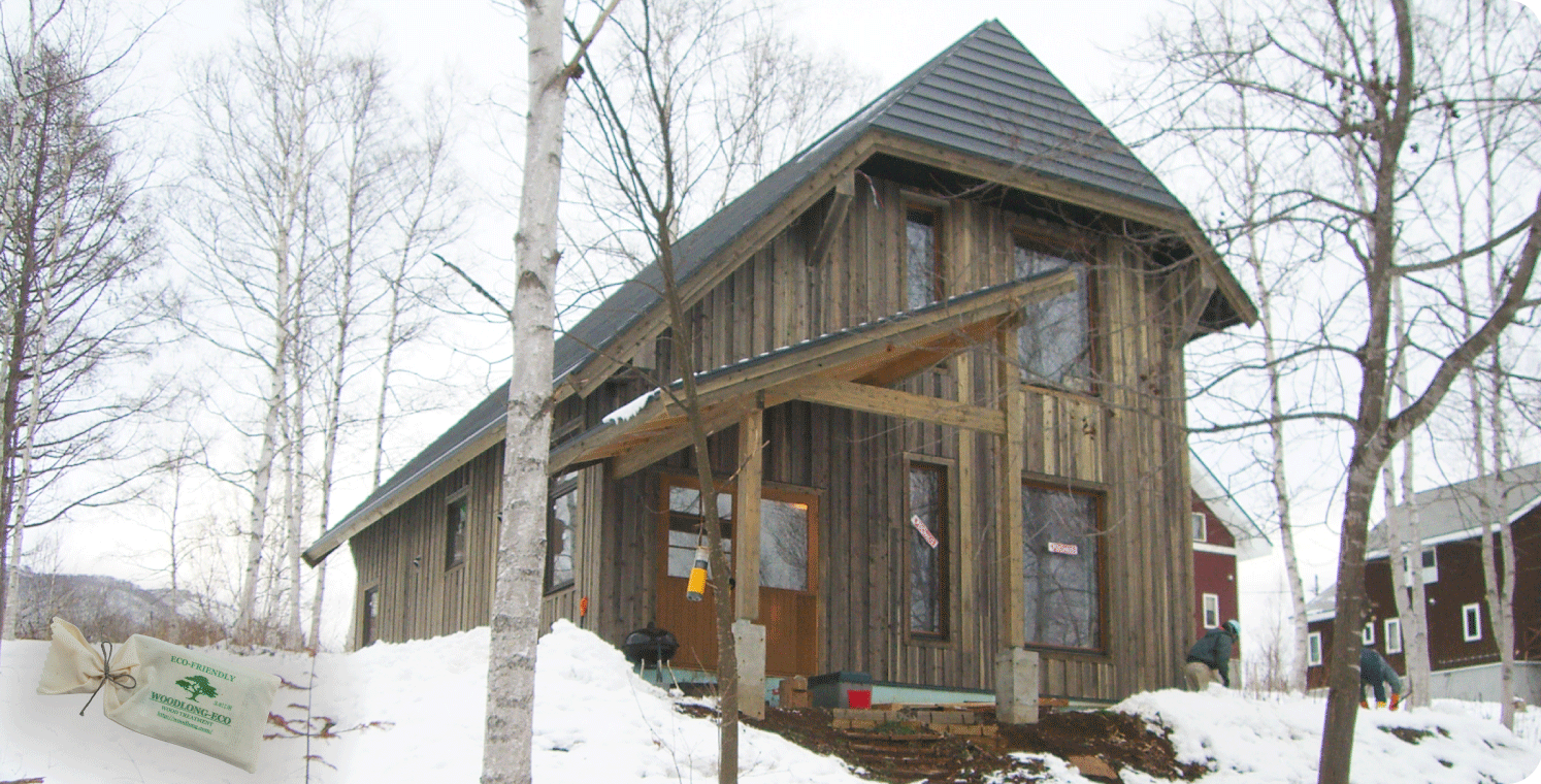 木々と人々の暮らしは密接な関係にあります